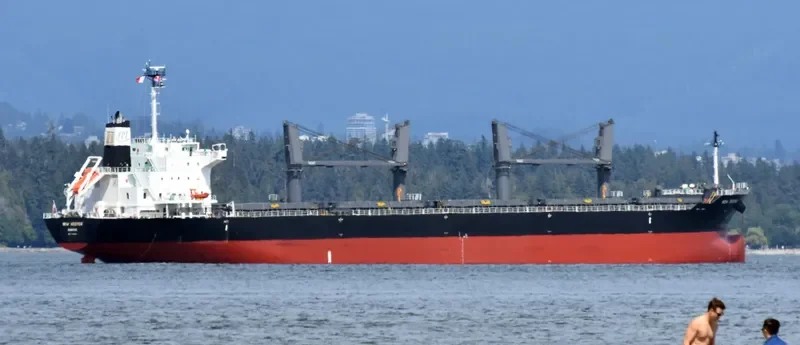 NEW KEEPER Bulk Carrier IMO 9736391 photo 10