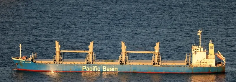 SEAL ISLAND Bulk Carrier IMO 9736406