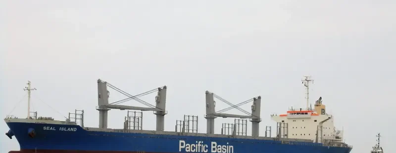 SEAL ISLAND Bulk Carrier IMO 9736406 photo 2