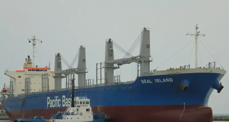 SEAL ISLAND Bulk Carrier IMO 9736406 photo 3