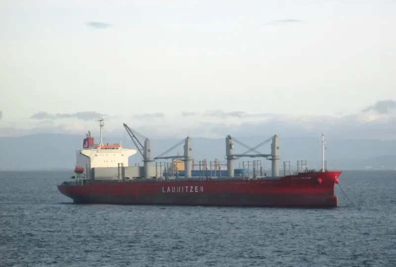 AFRICAN BULKER Bulk Carrier IMO 9736418