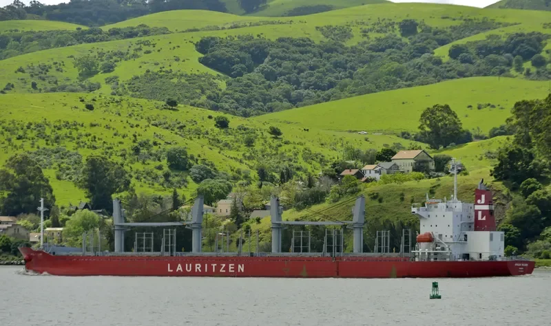AFRICAN BULKER Bulk Carrier IMO 9736418 photo 2