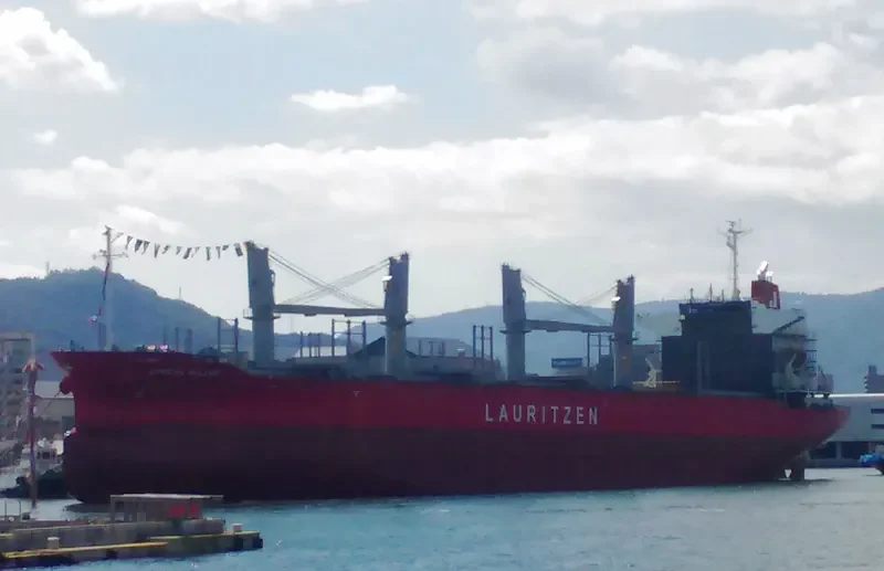 AFRICAN BULKER Bulk Carrier IMO 9736418 photo 5