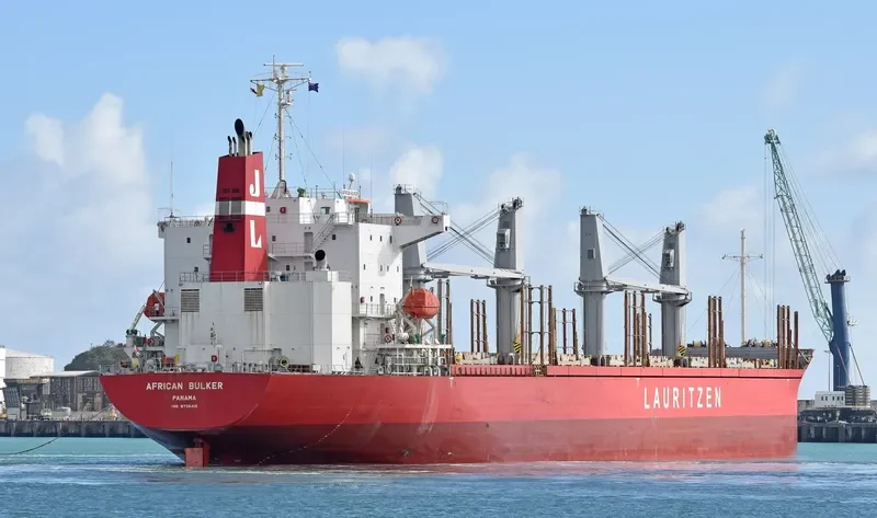 AFRICAN BULKER Bulk Carrier IMO 9736418 photo 10