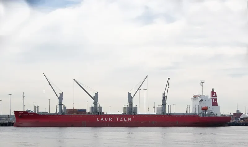 AMERICAN BULKER Bulk Carrier IMO 9736420 photo 3