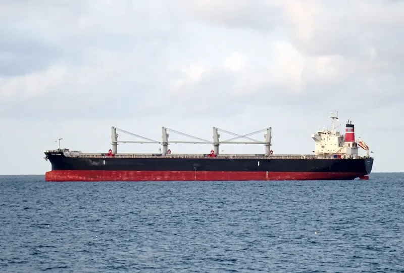DRAFTVADER Bulk Carrier IMO 9736664 photo 2