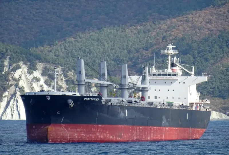 DRAFTVADER Bulk Carrier IMO 9736664 photo 5