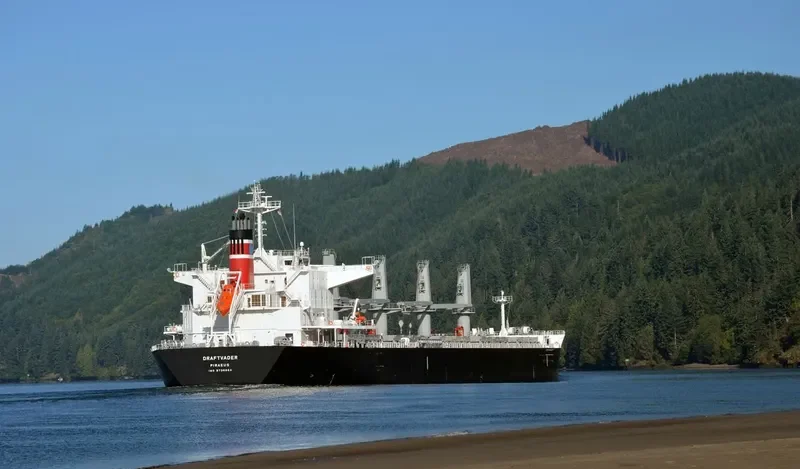 DRAFTVADER Bulk Carrier IMO 9736664 photo 6