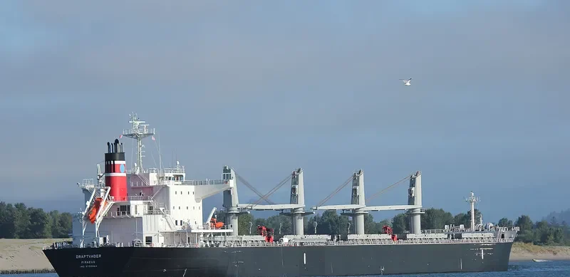 DRAFTVADER Bulk Carrier IMO 9736664 photo 7