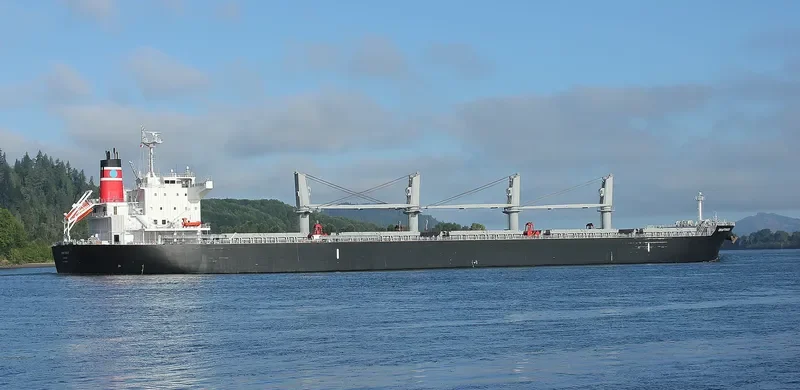 DRAFTVADER Bulk Carrier IMO 9736664 photo 8