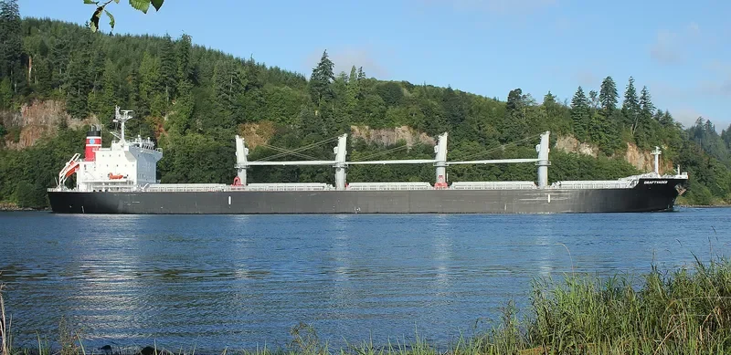 DRAFTVADER Bulk Carrier IMO 9736664 photo 9