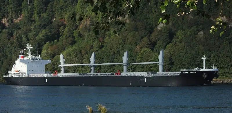 DRAFTVADER Bulk Carrier IMO 9736664 photo 10