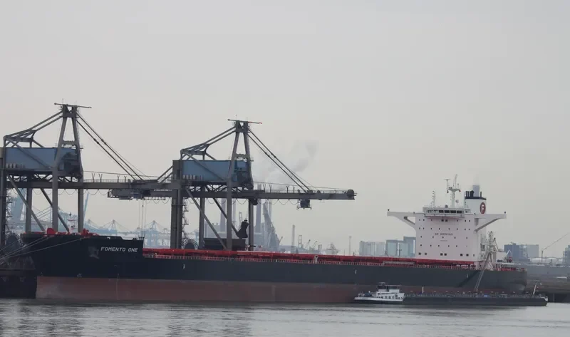 FOMENTO ONE Bulk Carrier IMO 9736729