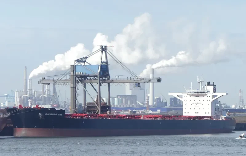 FOMENTO ONE Bulk Carrier IMO 9736729 photo 2