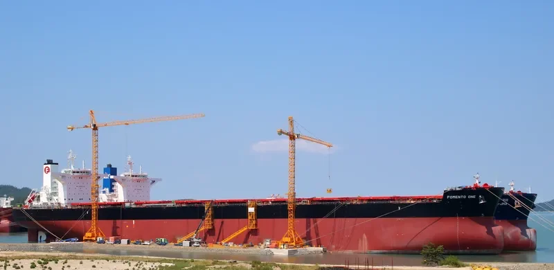 FOMENTO ONE Bulk Carrier IMO 9736729 photo 4