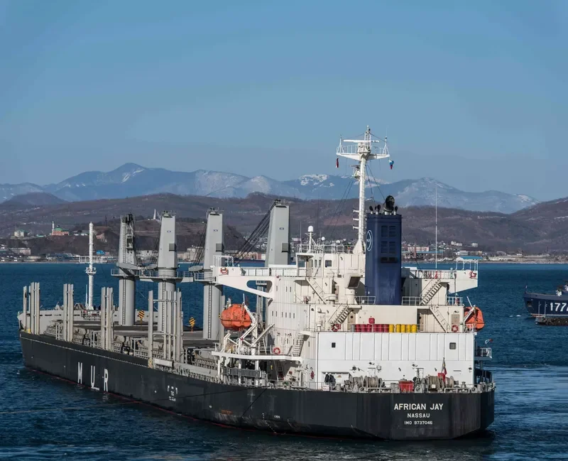 AFRICAN JAY Bulk Carrier IMO 9737046 photo 2