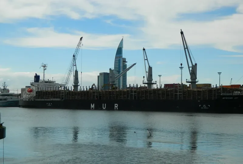 AFRICAN JAY Bulk Carrier IMO 9737046 photo 4