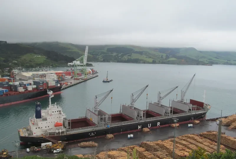 AFRICAN JAY Bulk Carrier IMO 9737046 photo 5