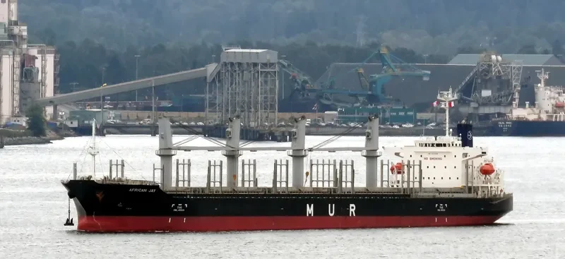 AFRICAN JAY Bulk Carrier IMO 9737046 photo 6