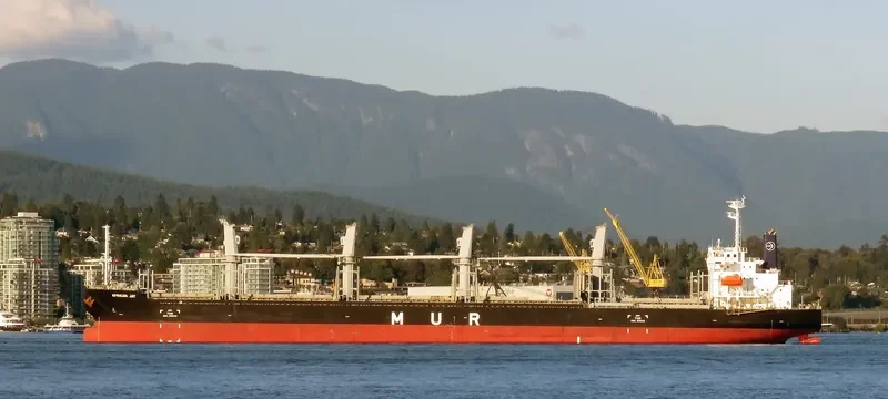 AFRICAN JAY Bulk Carrier IMO 9737046 photo 7