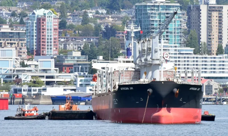 AFRICAN JAY Bulk Carrier IMO 9737046 photo 8
