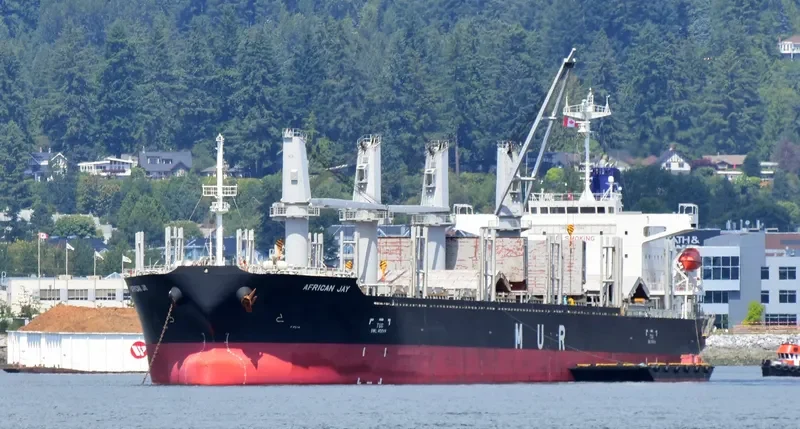 AFRICAN JAY Bulk Carrier IMO 9737046 photo 9