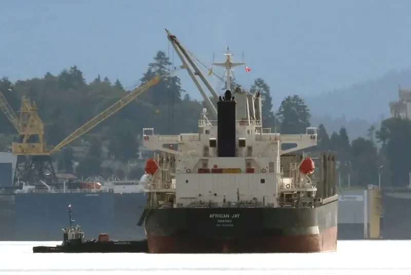 AFRICAN JAY Bulk Carrier IMO 9737046 photo 10