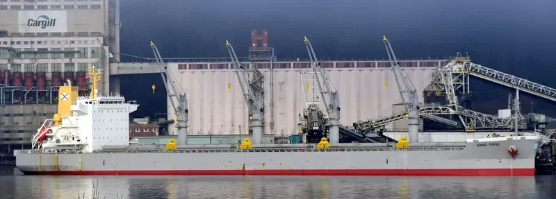 SAND TOPIC Bulk Carrier IMO 9737084