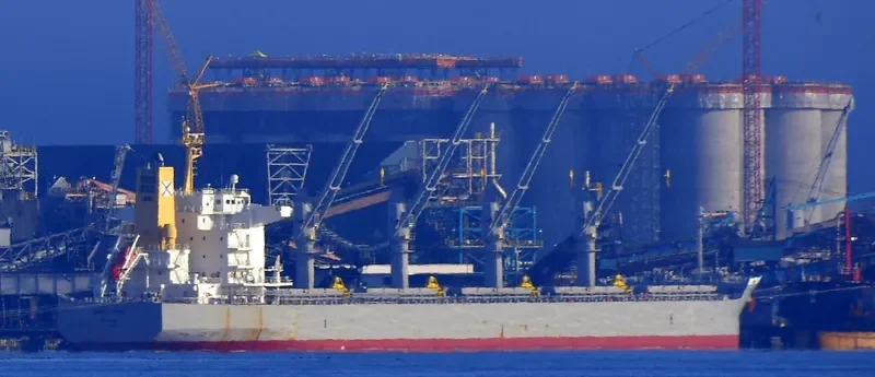 SAND TOPIC Bulk Carrier IMO 9737084 photo 2