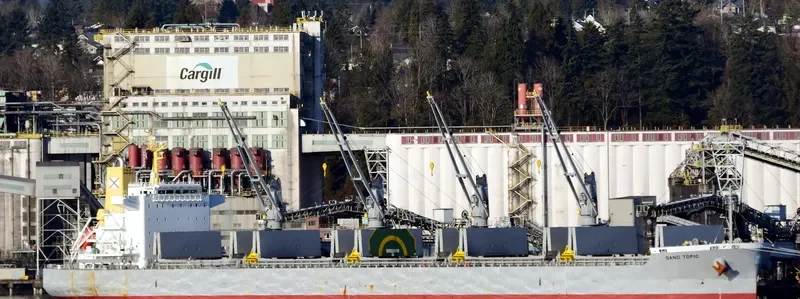 SAND TOPIC Bulk Carrier IMO 9737084 photo 3