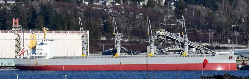 SAND TOPIC Bulk Carrier IMO 9737084 photo 4