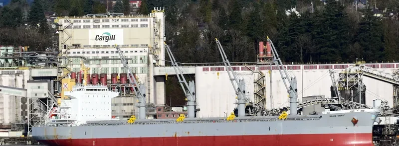SAND TOPIC Bulk Carrier IMO 9737084 photo 5