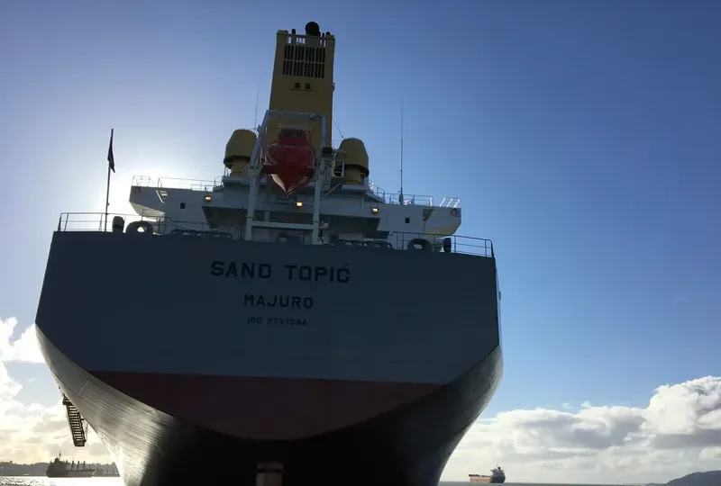 SAND TOPIC Bulk Carrier IMO 9737084 photo 7