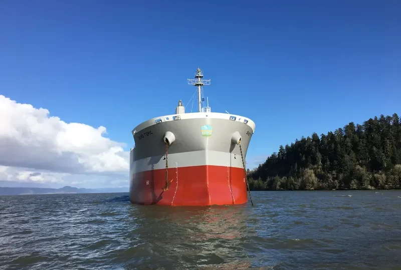 SAND TOPIC Bulk Carrier IMO 9737084 photo 8