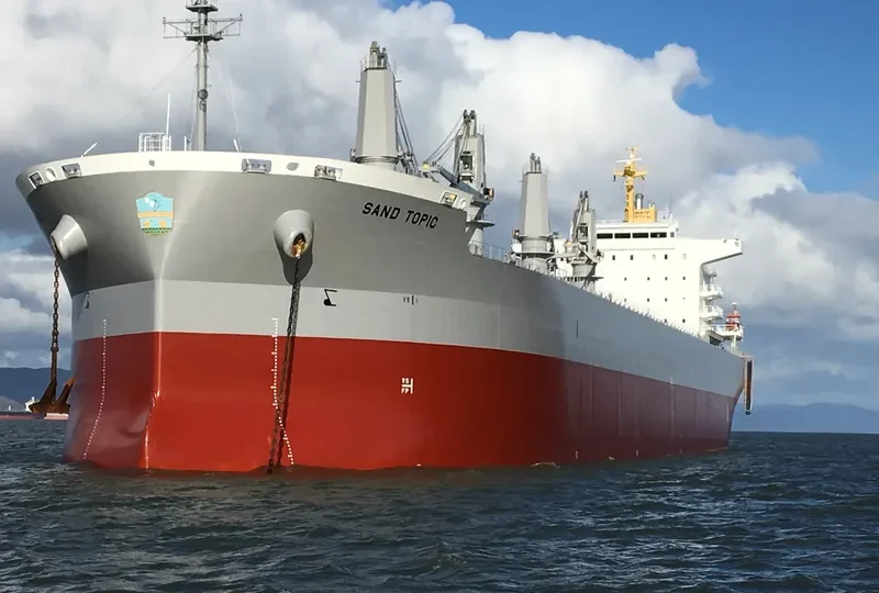 SAND TOPIC Bulk Carrier IMO 9737084 photo 9