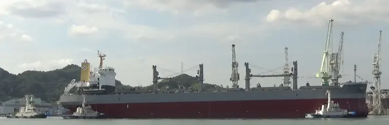 SAND TOPIC Bulk Carrier IMO 9737084 photo 10