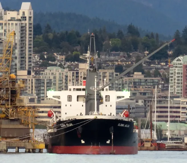 GLOBAL AGLAIA Bulk Carrier IMO 9737149