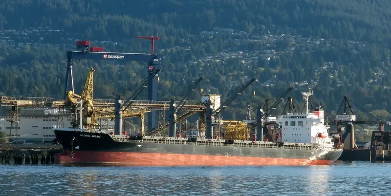 GLOBAL AGLAIA Bulk Carrier IMO 9737149 photo 2
