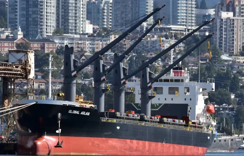 GLOBAL AGLAIA Bulk Carrier IMO 9737149 photo 3