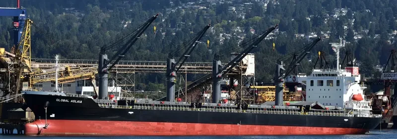 GLOBAL AGLAIA Bulk Carrier IMO 9737149 photo 4