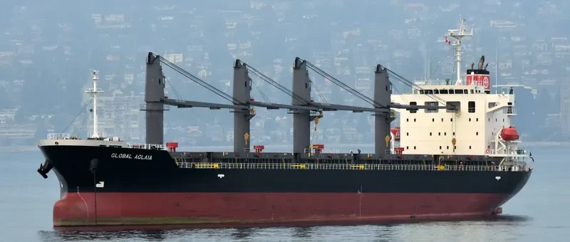 GLOBAL AGLAIA Bulk Carrier IMO 9737149 photo 6