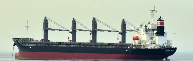GLOBAL AGLAIA Bulk Carrier IMO 9737149 photo 7