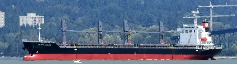 GLOBAL AGLAIA Bulk Carrier IMO 9737149 photo 8