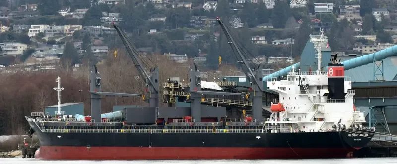 GLOBAL AGLAIA Bulk Carrier IMO 9737149 photo 9
