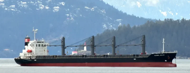 GLOBAL AGLAIA Bulk Carrier IMO 9737149 photo 10