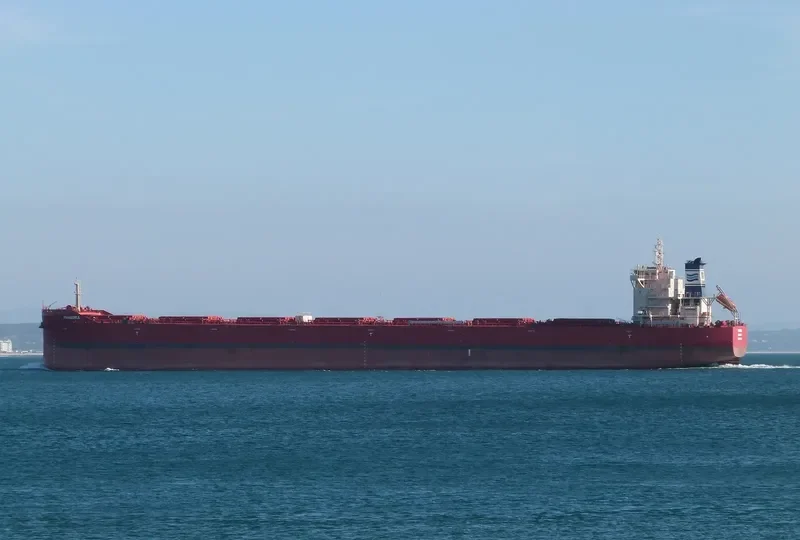 PHAEDRA Bulk Carrier IMO 9737589 photo 5