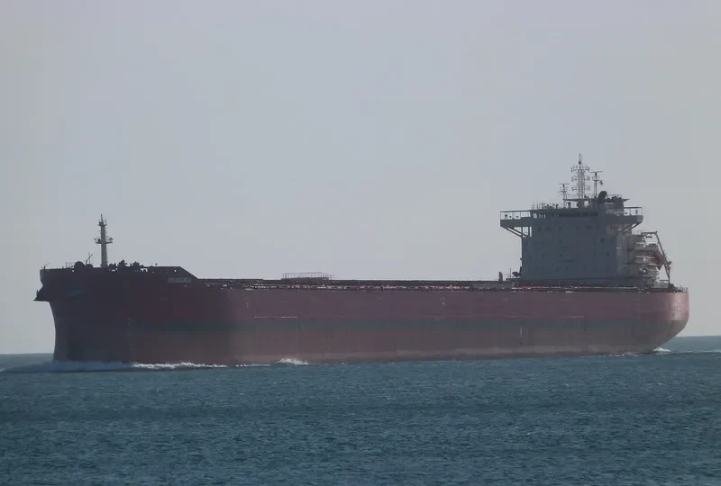 PHAEDRA Bulk Carrier IMO 9737589 photo 6