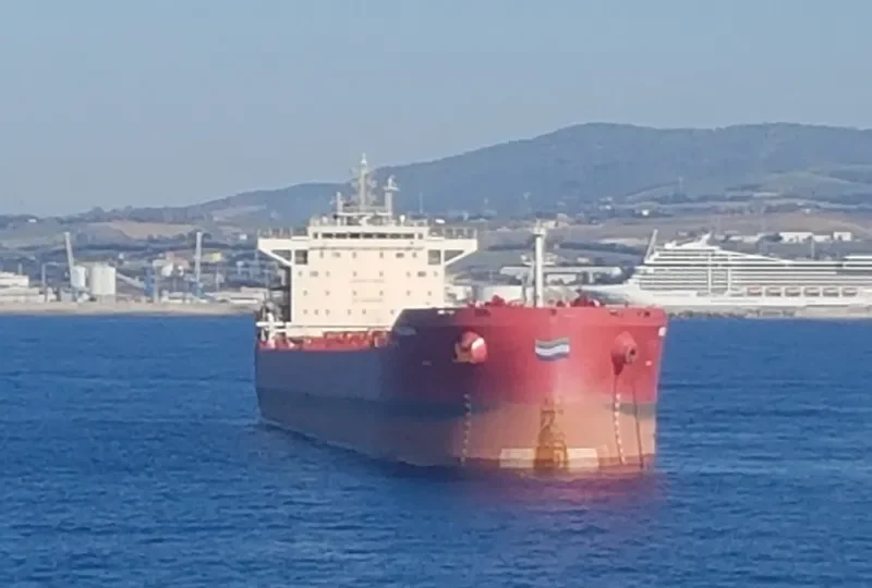 PHAEDRA Bulk Carrier IMO 9737589 photo 8