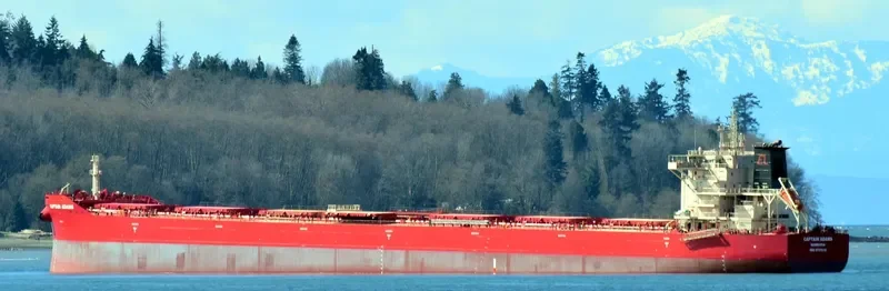 CAPTAIN ADAMS Bulk Carrier IMO 9737618 photo 5