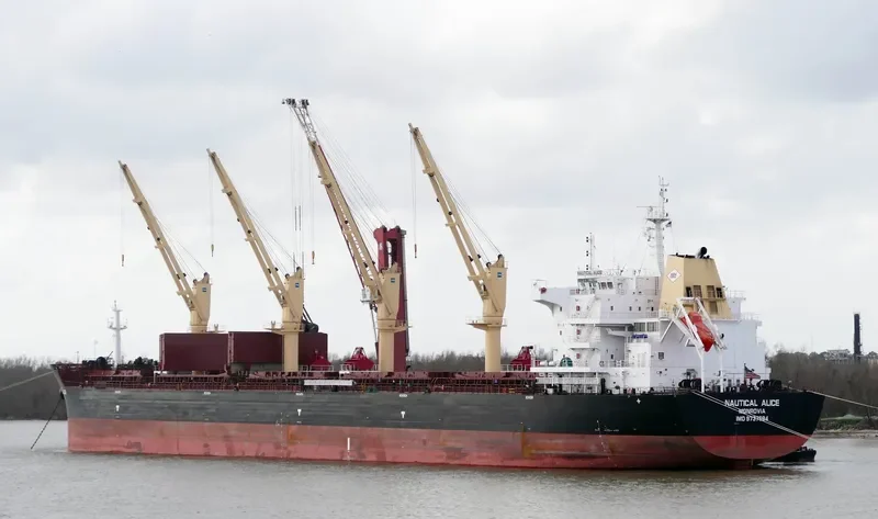 NAUTICAL ALICE Bulk Carrier IMO 9737694 photo 2